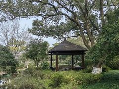 -西湖外事游船(花港观鱼码头)