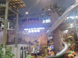 -卡通尼·Safari非洲探索乐园·生日会(金桥国际商业广场店)