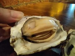 -土蚝·高压锅生蚝(百姓美食街店)