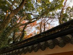 -普陀山风景名胜区-法雨禅寺