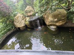 -上海浦东星河湾酒店