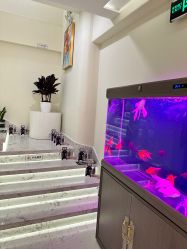 -海涛医疗美容·面部抗衰·注射美鼻