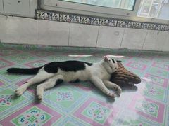 -庆岭迎宾园正宗活鱼馆