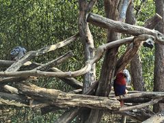 -昆明动物园