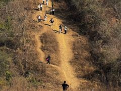-青龙山国家森林公园