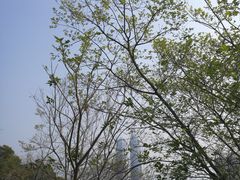 -鸿山公园