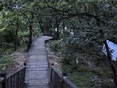 -帽儿山国家森林公园