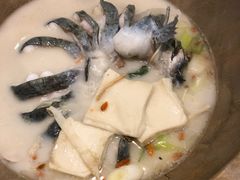 -云中鱼蒸汽石锅鱼(川沙百联店)