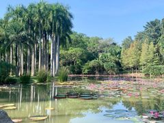 -中国科学院西双版纳热带植物园
