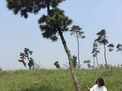 -恋山坝上草原