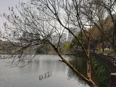 -重庆彩云湖湿地公园