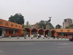 -成都动物园