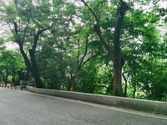 -桃花涧