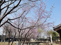 -三里河公园