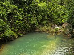 -广州白江湖森林公园