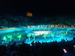 -鼎盛王朝康熙大典实景演出