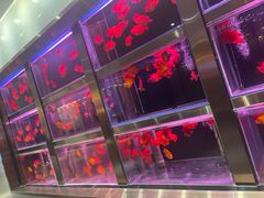 -青岛西海岸隆和福朋喜来登酒店