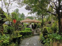 -青城甲(青城山店)