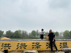 -泗洪洪泽湖湿地景区