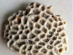 -西涌国际滨海旅游区