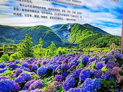 -中国农业博物馆