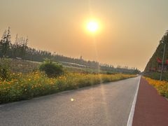 -上海长兴岛郊野公园