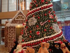 -上海雅居乐万豪侯爵酒店