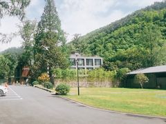 -东明山森林公园