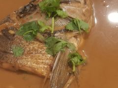-听涛雅苑百味饺子老家菜馆