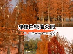 -白鹭湾湿地公园