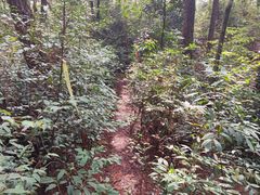 -铁山坪森林公园