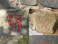 -三亚蜈支洲岛旅游区