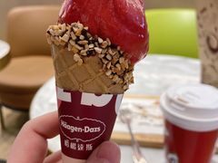 标准华夫筒-哈根达斯(朝阳大悦城店)