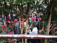 -韶山毛泽东同志故居