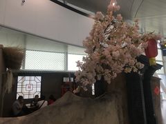 -银川河东国际机场