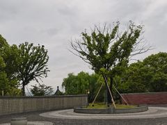 -东钱湖小普陀景区