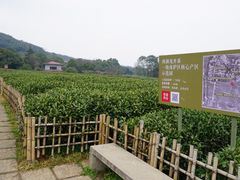 -中国茶叶博物馆(双峰馆区)