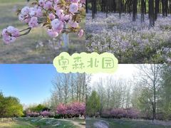 -朝阳公园