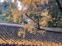 -成都杜甫草堂博物馆