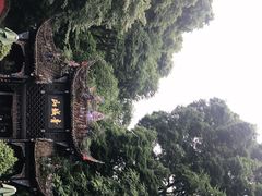 -青城山
