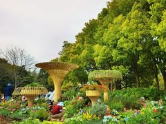-上海滨江森林公园