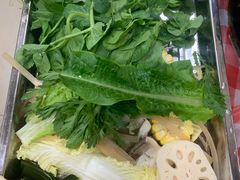 -金鼎雪山牦牛杂火锅(理县总店)