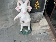 -洪记白水羊头(留学路店)