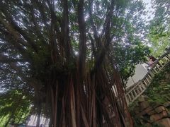 -乌山风景区