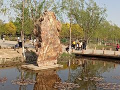 -绿堤公园