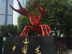 -长沙小天鹅戴斯酒店