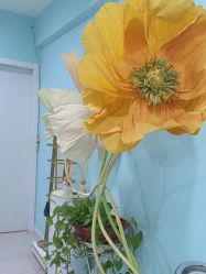 -斐尔国际皮肤管理中心