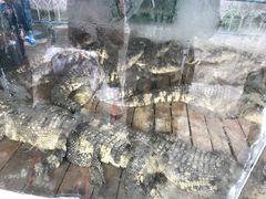 -无锡动物园·太湖欢乐园