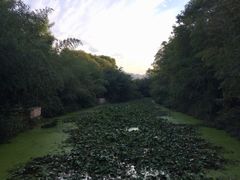 -金孔雀温泉旅游度假村