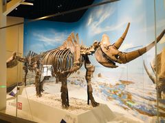 -国家自然博物馆